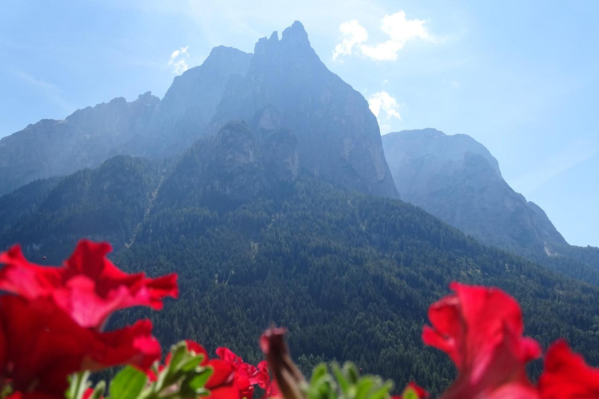 Schmalzlhof Διαμέρισμα Siusi Εξωτερικό φωτογραφία